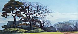 Tree Study at Farnborough Hall - Near Banbury II | 2013 | Oil on Canvas | 46 x 84 cm
